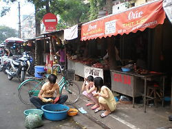 �n�m�C�s��